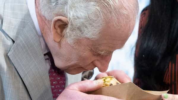 Charles and Camilla lay wreaths on second day of Kenya state visit